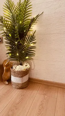 a plant in a basket sitting on a floor at Vanja in Čukarica