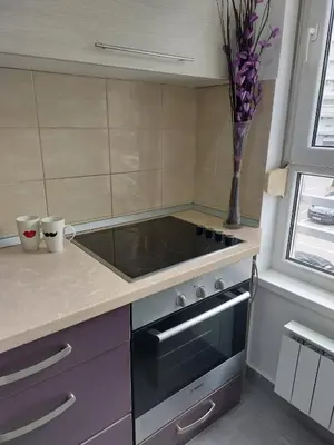 a kitchen with a stove and a vase of flowers at Apartman AMORE Belvil in Novi Beograd