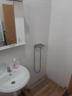 a bathroom with a sink and a shower at TPC 9 in Žarkovo