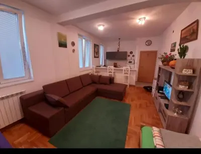 a living room with a brown couch and a green rug at TPC 9 in Žarkovo