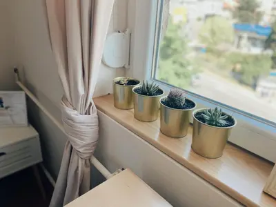 four potted plants sitting on a window sill at Cozy Trg in Lazarevac