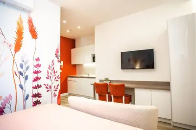 a living room with a couch and a tv on a wall at Coral Studio in Batajnica