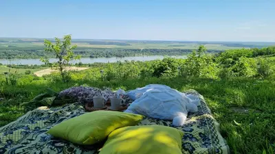 a picnic on a blanket in the grass on a field at Casa Horizont in Slankamenački Vinogradi