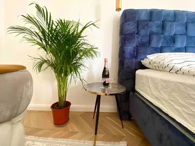 a bedroom with a bottle of wine and a table with plants at Soba 23 in Belgrade