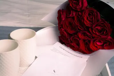 a bouquet of red roses in a box at Serene Bulbuder Suite in Belgrade