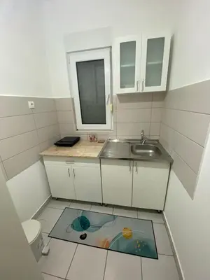 Gallery image of Helena Apartments in Ledine
