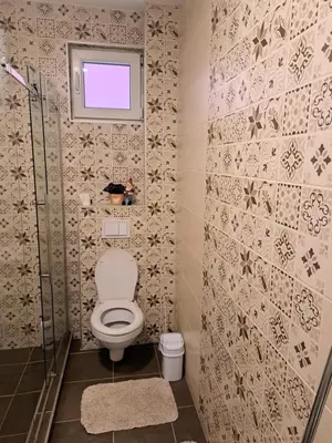 a bathroom with a toilet and a window at Apartman Sara 2 in Novi Grad
