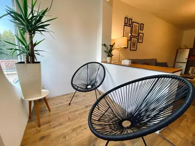 a room with two chairs and a counter with a plant at Apartman ANN II in Pančevo