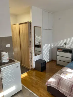 a bedroom with a bed and a dresser and a mirror at Apartman Pupin in Belgrade