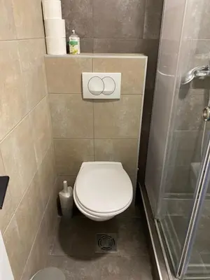 a small bathroom with a toilet and a shower at Apartman Pupin in Belgrade