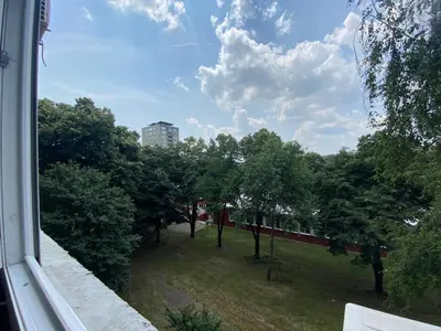 a window view of a yard with trees and a building at Apartman Pupin in Belgrade
