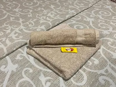 a bed with a towel on top of a bed at Apartman Pupin in Belgrade