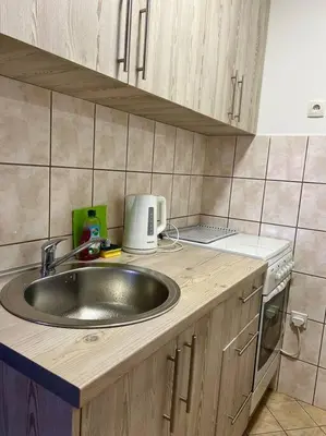 a kitchen counter with a sink and a microwave at Apartman Flora in Novi Grad
