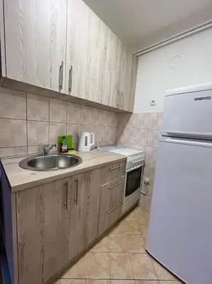 a kitchen with a sink and a white refrigerator at Apartman Flora in Novi Grad