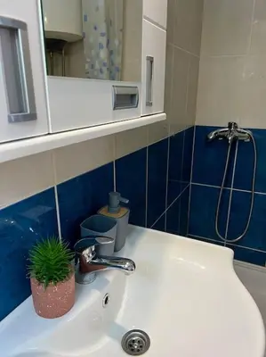 a bathroom with a sink with a potted plant on it at Apartman Flora in Novi Grad