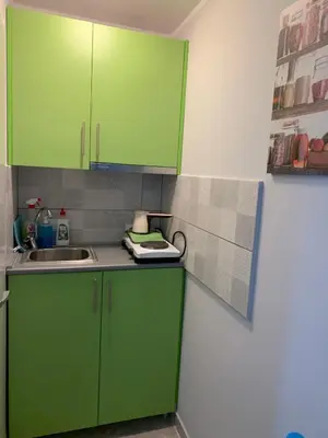 a kitchen with green cabinets and a sink at Apartman Lara in Belgrade