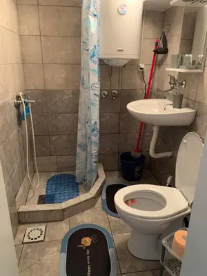a bathroom with a shower and a toilet and a sink at Apartman Lara in Belgrade