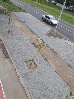 a road being construction with a tree in the middle at Small cute doublebed room A4 in Pančevo in Pančevo