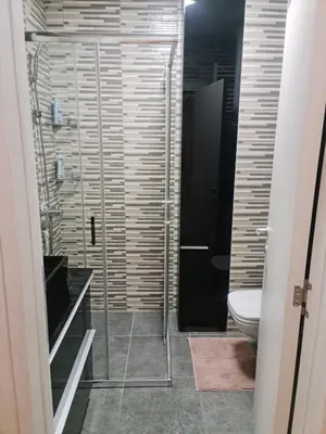 a bathroom with a shower and a toilet at Porodicno-poslovni udoban stan in Vračar (historical)