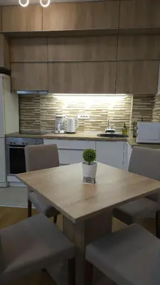 a kitchen with a wooden table with a potted plant on it at Porodicno-poslovni udoban stan in Vračar (historical)