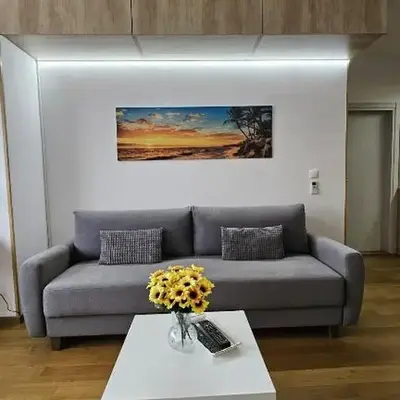 Porodicno-poslovni udoban stan