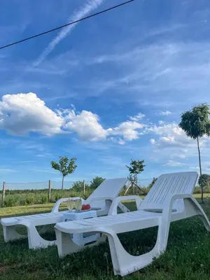 a row of white benches sitting in the grass at Villa Sladjana in Mladenovac