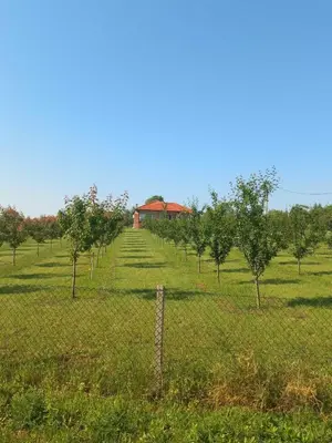 a fence in a field with trees and a building at Villa Sladjana in Mladenovac