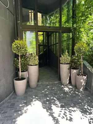 a group of potted plants sitting outside of a building at Avangarda Suites in Belgrade