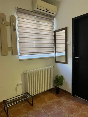 a room with a window with a radiator and a mirror at Studio Vracar in Belgrade