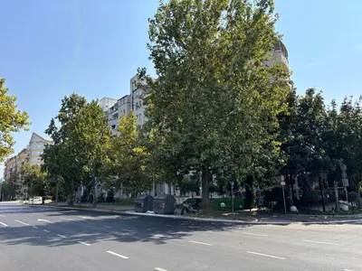 a street with trees on the side of a road at Arena Belgrade in Novi Beograd