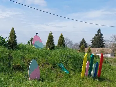 a group of surfboards in the grass in a field at Imanje sa bazenom in Obrenovac