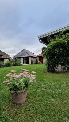 a potted plant in the yard of a house at Imanje sa bazenom in Obrenovac
