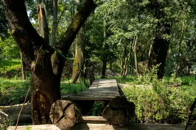 a wooden bridge tied to a tree in a forest at Obedska Bara - Kupinovo Retreat House in Kupinovo