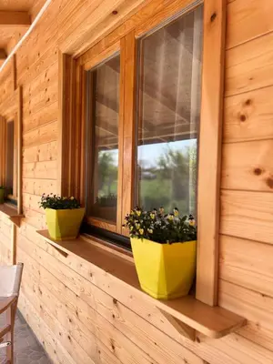 two yellow pots sitting on a window sill at Obedska Bara - Kupinovo Retreat House in Kupinovo