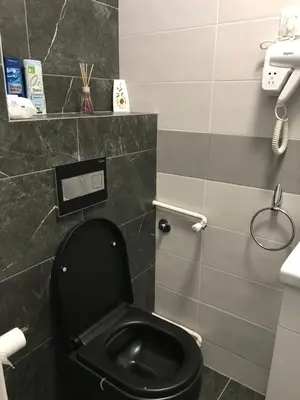 a bathroom with a black toilet and a phone at Apartman Oler in Smederevo