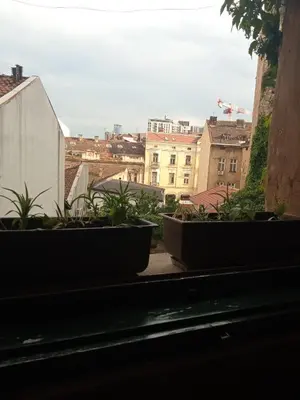 a view of a city from a window with plants at Marmelo in Belgrade