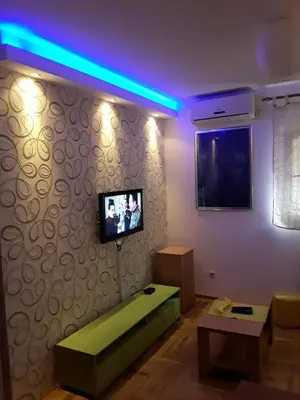 a living room with a green couch and a tv at Lorono Kosta in Belgrade