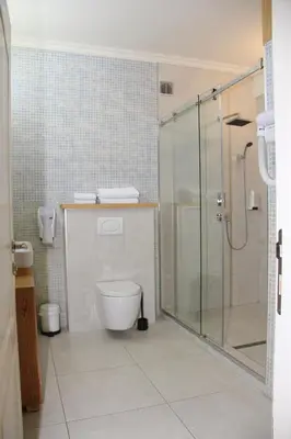 a bathroom with a toilet and a glass shower at VILA STASEA in Smederevo