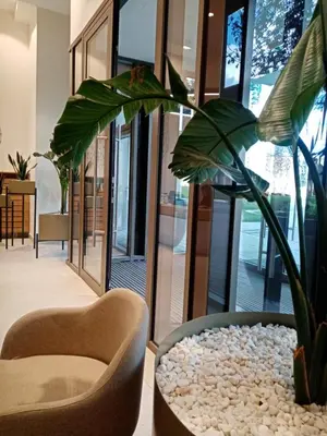 a living room with two chairs and a potted plant at Belgrade Waterfront 1409 in Belgrade