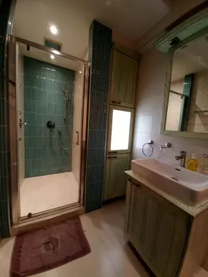 a bathroom with a shower and a sink and a shower at Alex LUX in Belgrade