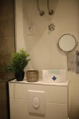 a bathroom with a mirror and a plant on a counter at Royal Wellness and Spa in Ruma