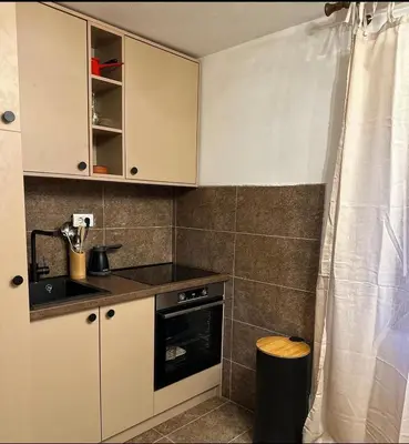 a small kitchen with a sink and a stove at Mila Vila Fruška Gora in Irig