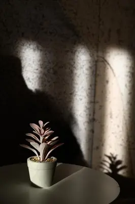 a small potted plant sitting on top of a table at inJoy in Belgrade