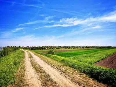 a dirt road in the middle of a field at Hedonists Paradise in Omoljica
