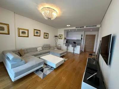 a living room with a couch and a tv at Queen BW in Sajmište