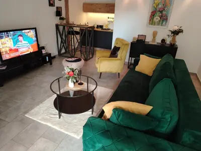 a living room with a green couch and a tv at Maximilian apartman in Smederevo