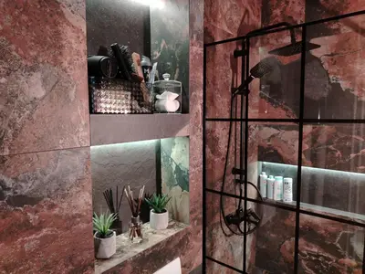 a bathroom with a shower with a mirror and plants at Maximilian apartman in Smederevo