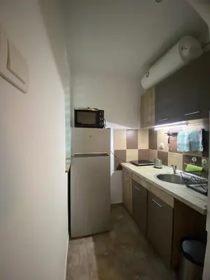 a kitchen with a white refrigerator and a sink at Studio 43 in Belgrade