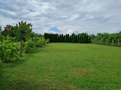 a large green field with trees and a fence at Vila Tea Fruska Gora in Čortanovci
