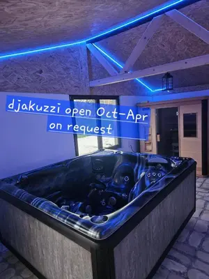 a hot tub in a room with blue lights at Vila Tea Fruska Gora in Čortanovci